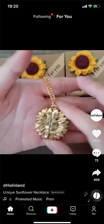 Screenshot from Holinland's TikTok account.